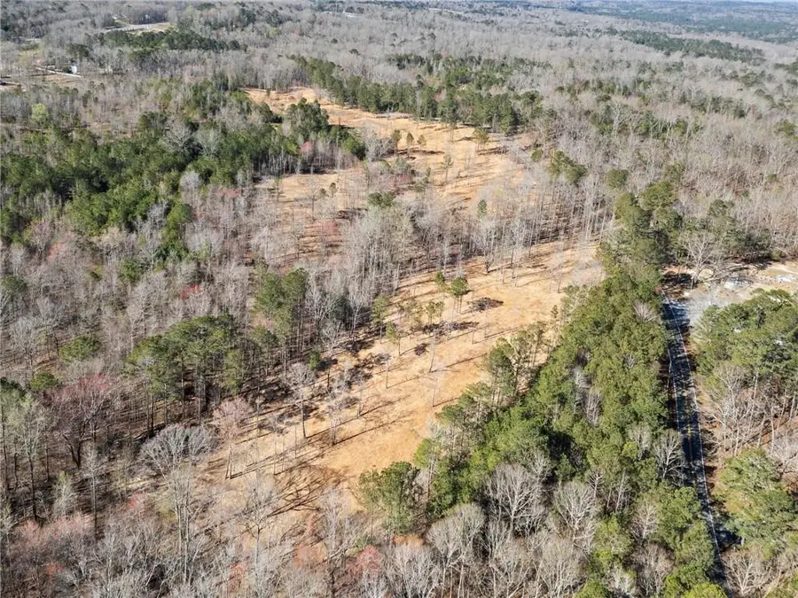 460 Mt. Olive Church Lane, White, GA 30184 - #3