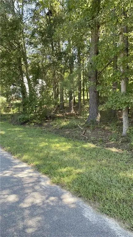 1091 Mantahala Lot 1 Avenue, Greensboro, GA 30642 - Image #1