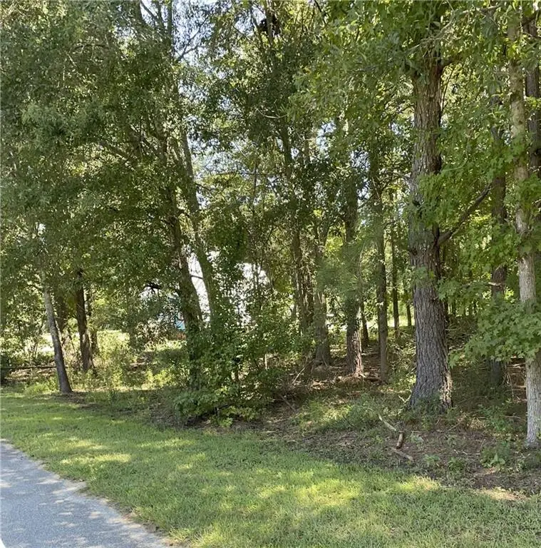 1091 Mantahala Lot 1 Avenue, Greensboro, GA 30642 - Image #2