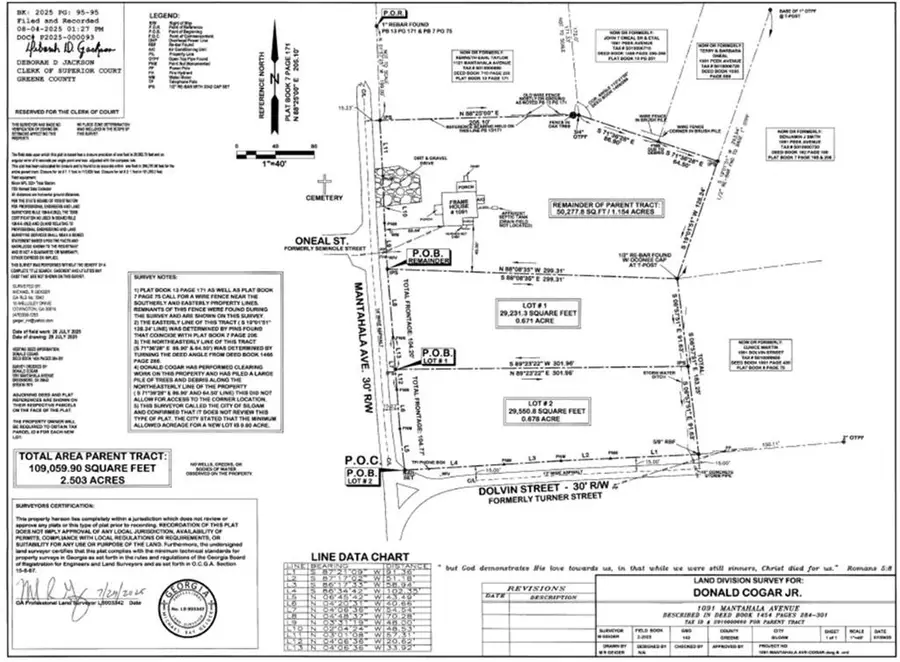 1091 Mantahala Lot 1 Avenue, Greensboro, GA 30642 - Image #3