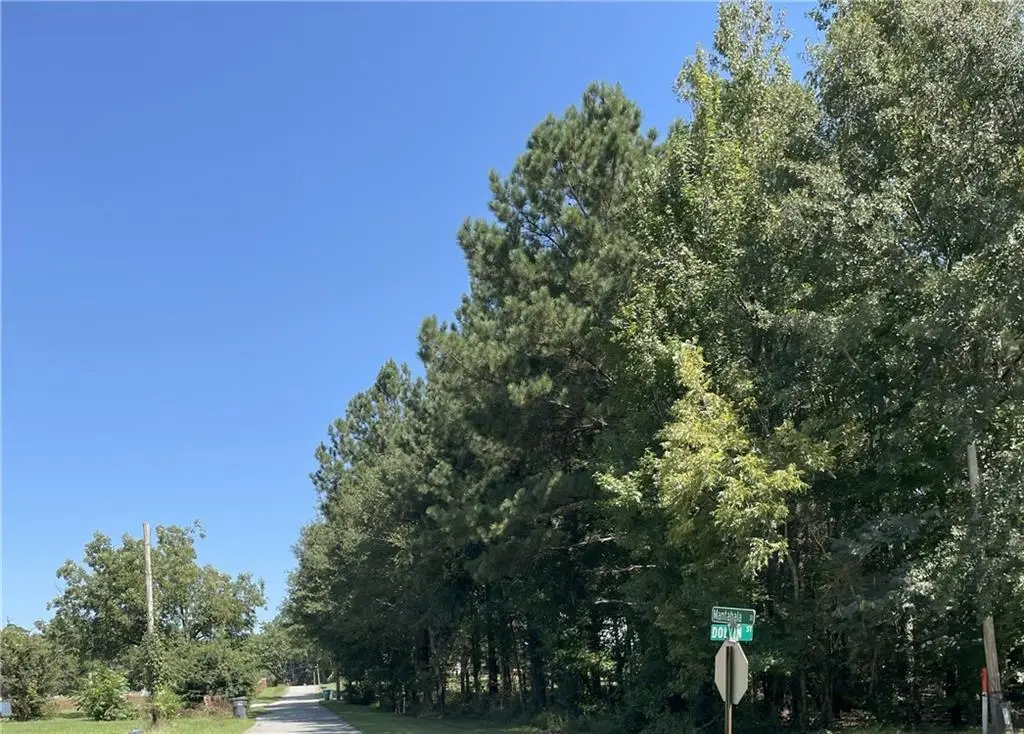 1091 Mantahala Lot 2 Avenue, Greensboro, GA 30642 - Image #1