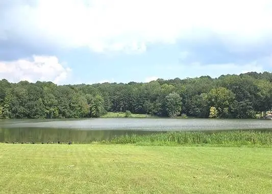 #3