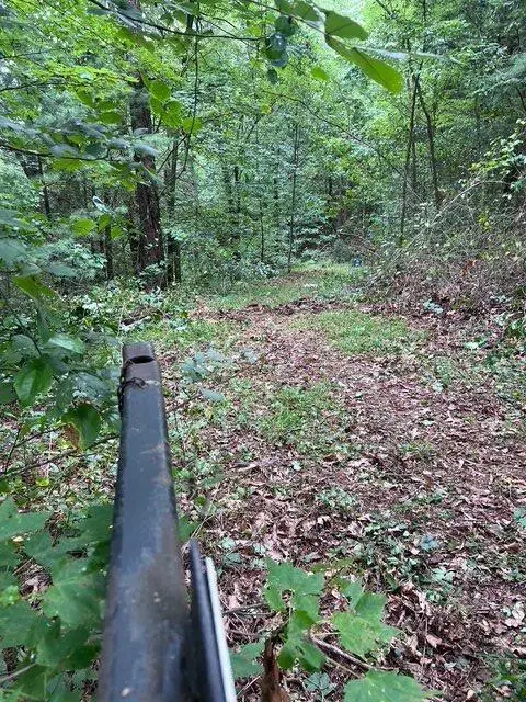 #2