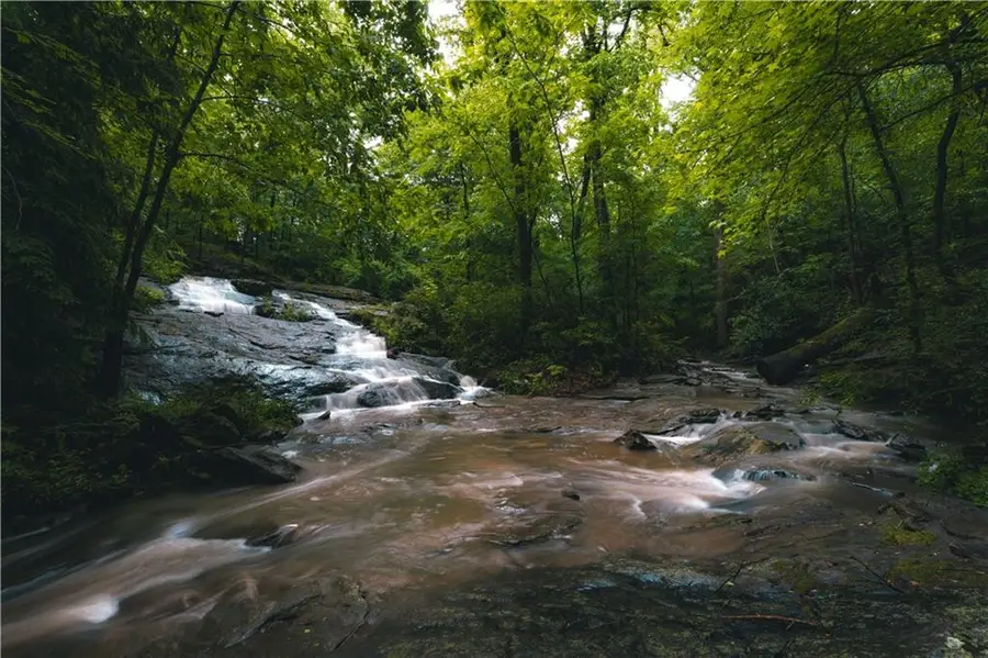 393 The Falls Court Ne, Druid Hills, GA 30307 - Image #2