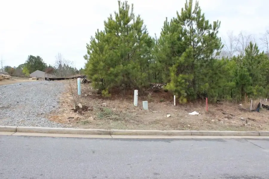 3 Lots Village Lane, Woodstock, GA 30188 - Image #2