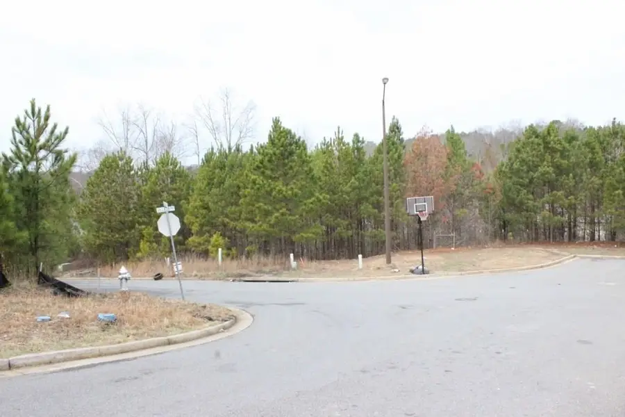 3 Lots Village Lane, Woodstock, GA 30188 - Image #3