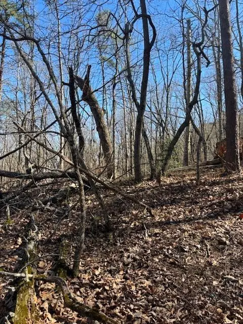 125 Gum Wood Court, Waleska, GA 30183 - #3