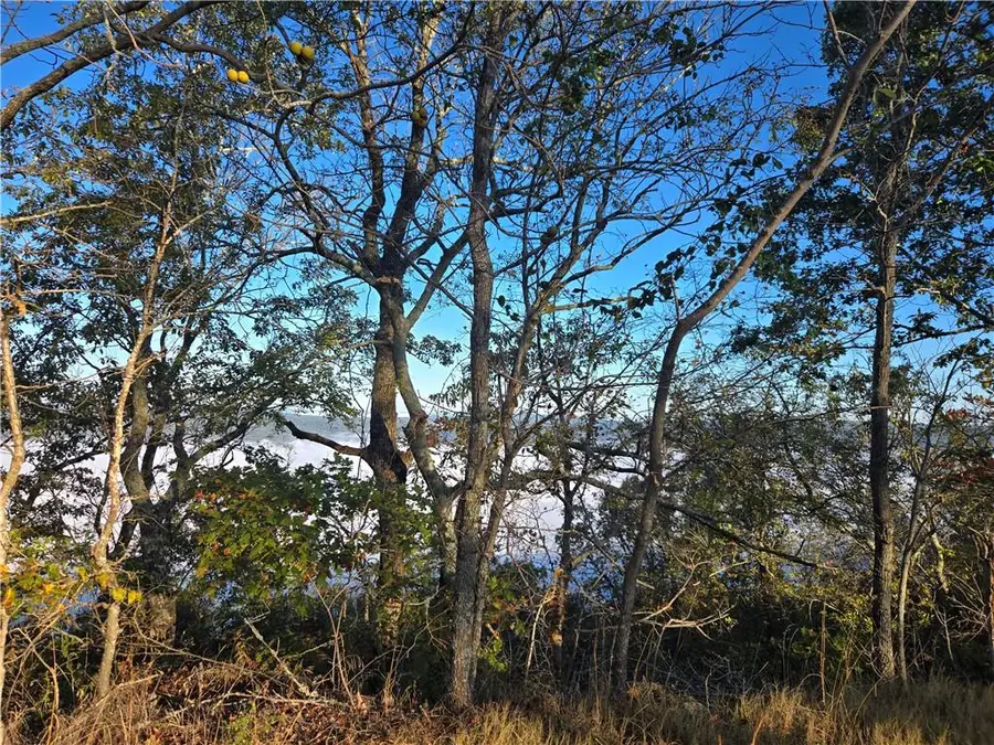 8442 Scenic Highway, Rising Fawn, GA 30738 - Image #3