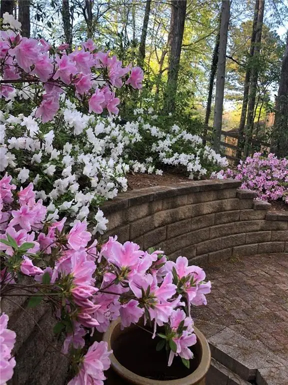 8665 Steeplechase Drive, Roswell, GA 30076 - Image #2