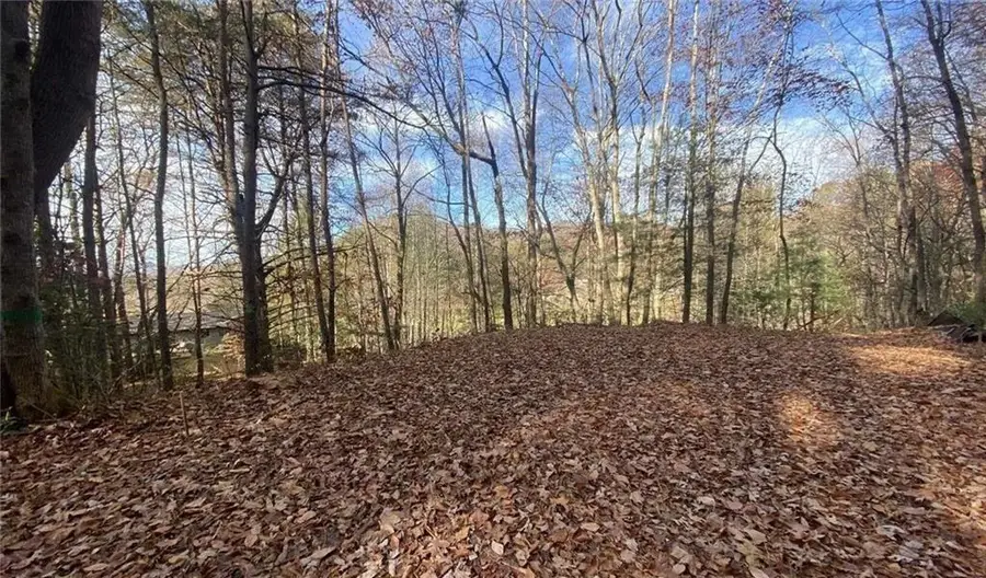 1 Barefoot Hills, Hiawassee, GA 30546 - Image #2