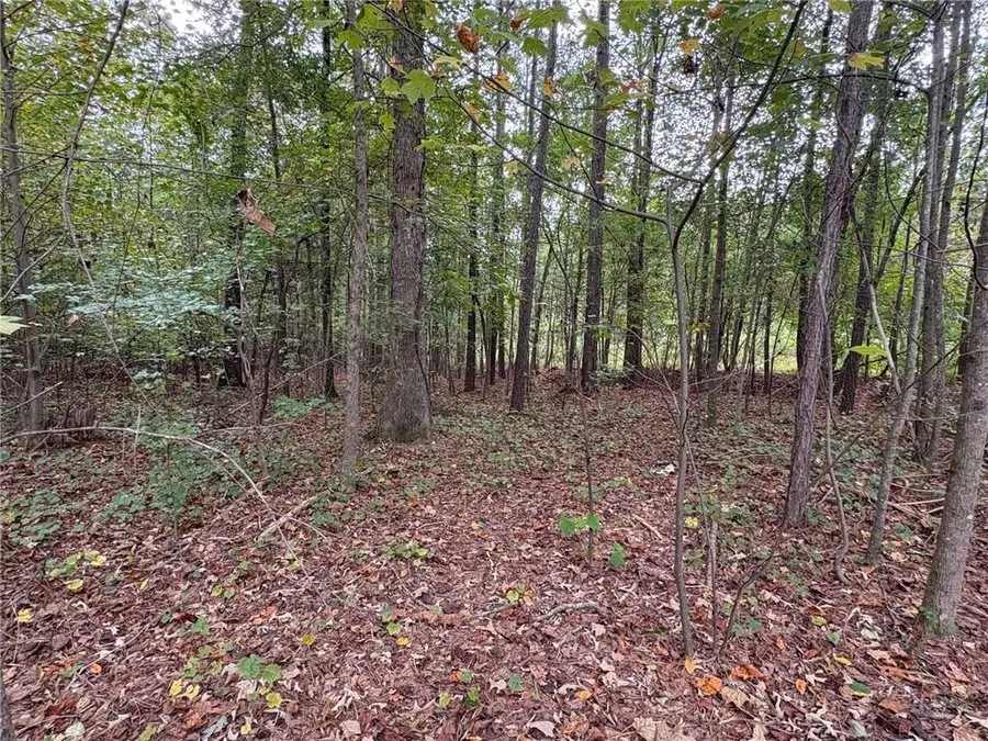 2075 Jerusalem Church Road E, Jasper, GA 30143 - Image #3