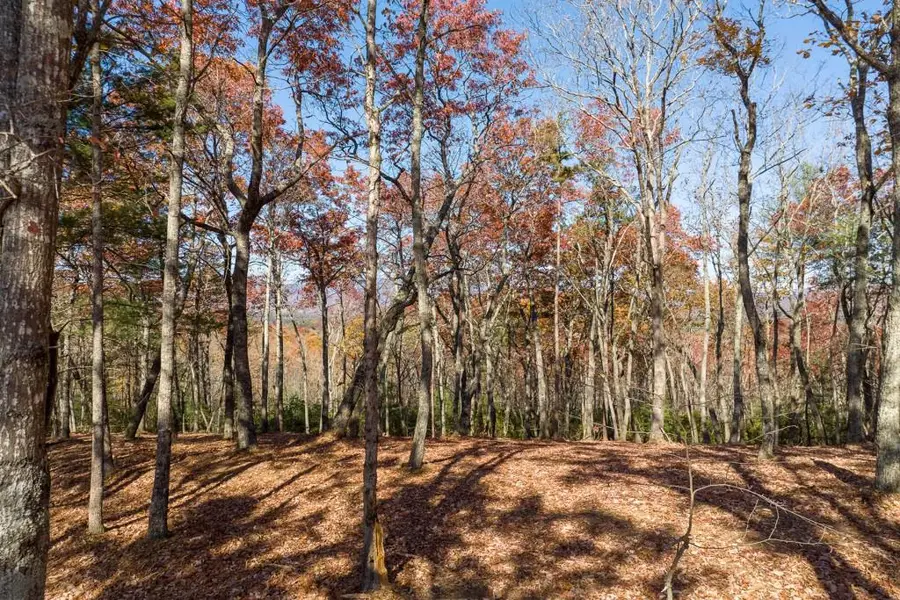 LOT 41 Preserve Trail, Ellijay, GA 30536 - Image #3