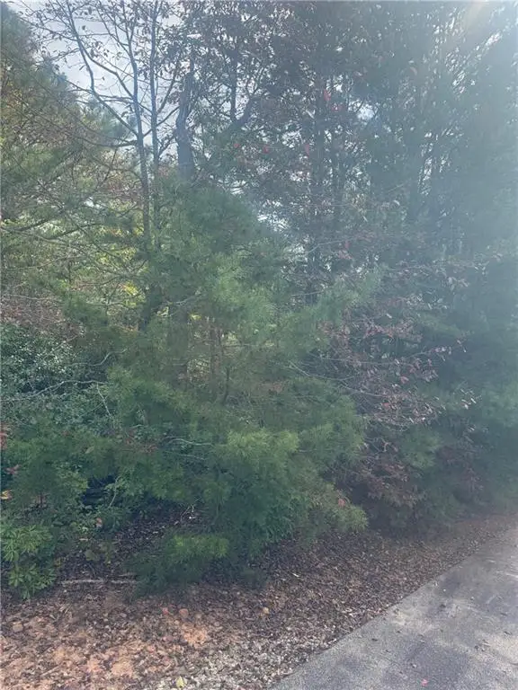 Lot 16 Brown Hawk, Clayton, GA 30525 - #2