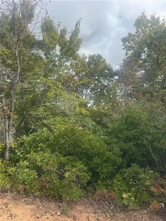 Lot 16 Brown Hawk, Clayton, GA 30525 - #3