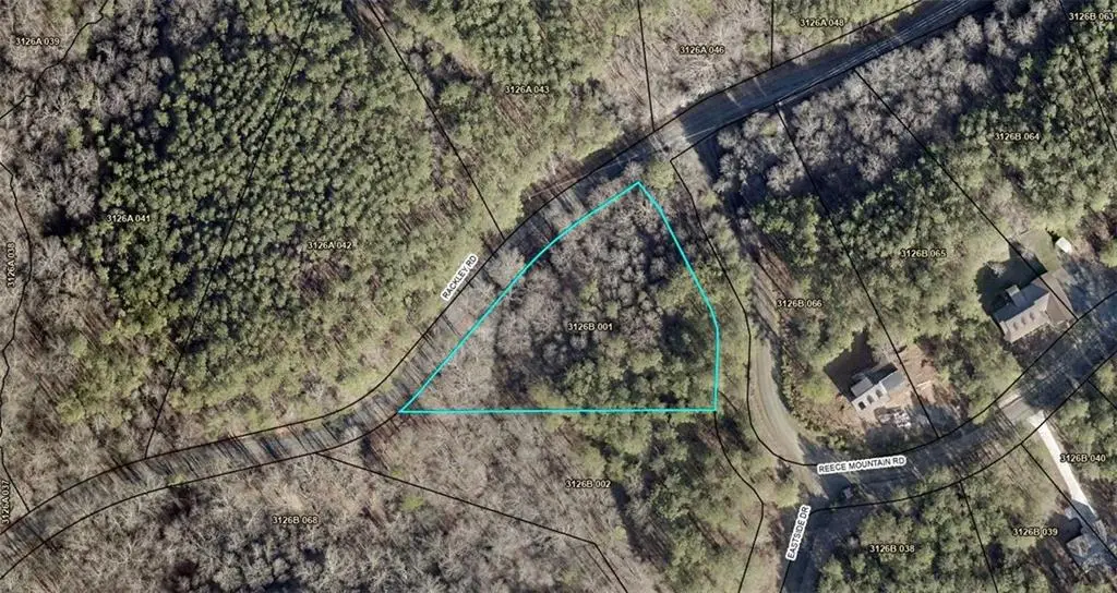 0 Reece Mountain Road, Ellijay, GA 30536 - Image #1