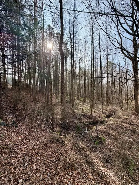 0 Reece Mountain Road, Ellijay, GA 30536 - #3