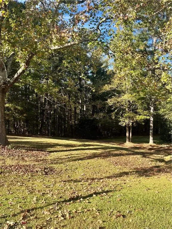 1675 Beagle Run, Monroe, GA 30656 - Image #3