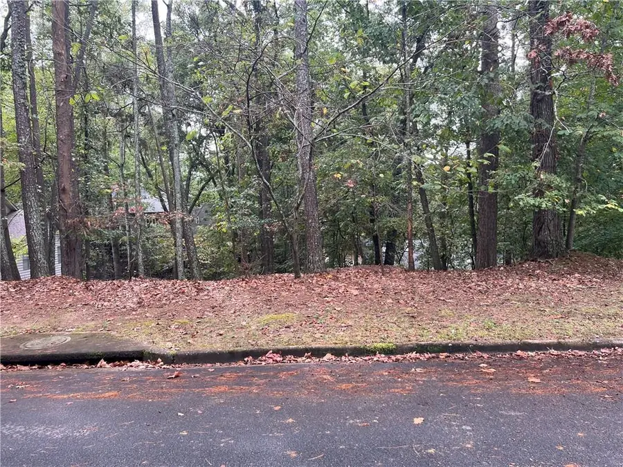 0 Spyglass Bluff Drive, Johns Creek, GA 30022 - Image #3