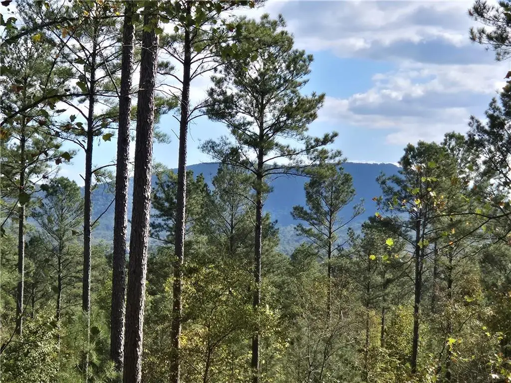 3871 Hwy 140 Ne, Rydal, GA 30171 - Image #1