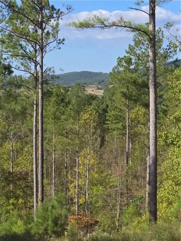 3871 Hwy 140 Ne, Rydal, GA 30171 - Image #2