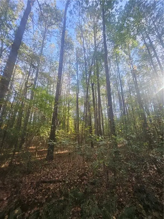 4861 Moon Road, Powder Springs, GA 30127 - Image #2