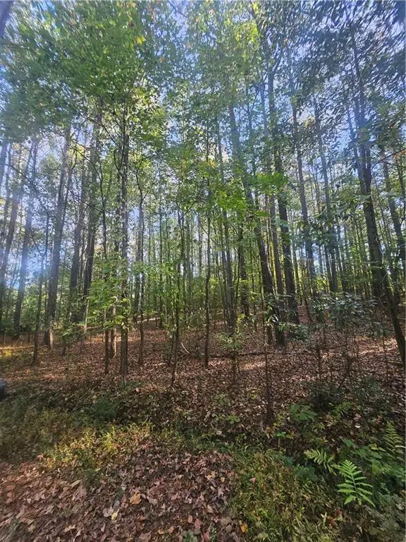 4861 Moon Road, Powder Springs, GA 30127 - Image #3