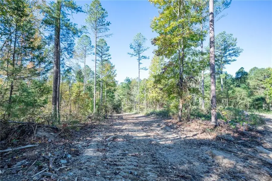 3863 Hwy 140 Ne, Rydal, GA 30171 - Image #2