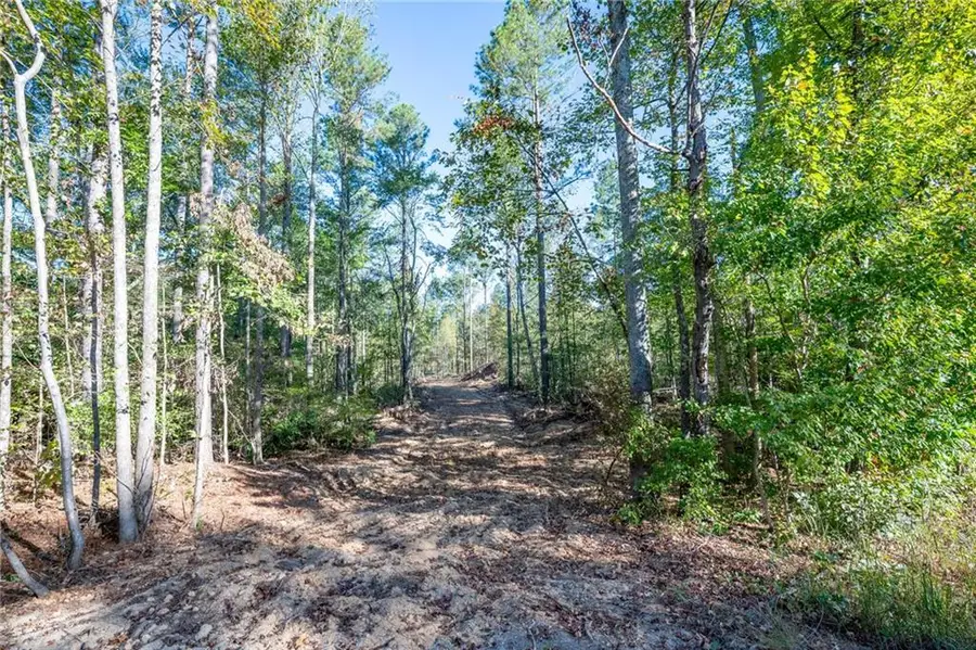 3859 Hwy 140 Ne, Rydal, GA 30171 - Image #2