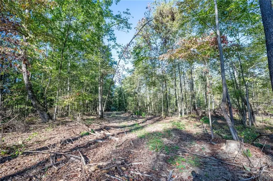 3859 Hwy 140 Ne, Rydal, GA 30171 - Image #3