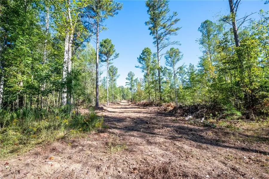 3785 Hwy 140 Ne, Rydal, GA 30171 - Image #3