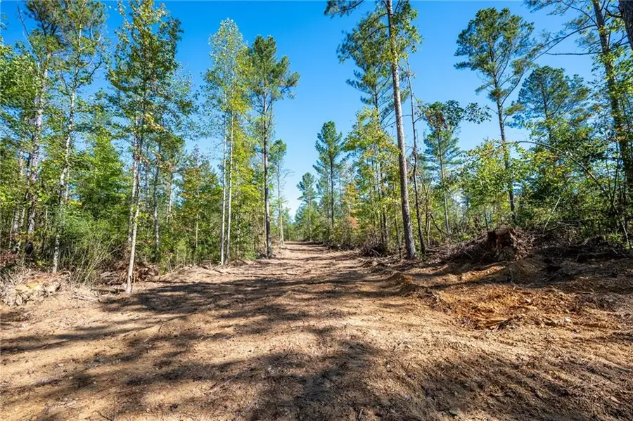 3785 Hwy 140 Ne, Rydal, GA 30171 - Image #3