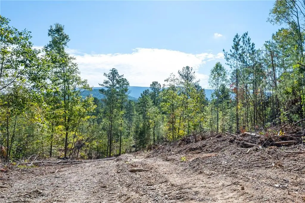 3793 Hwy 140 Ne, Rydal, GA 30171 - Image #1