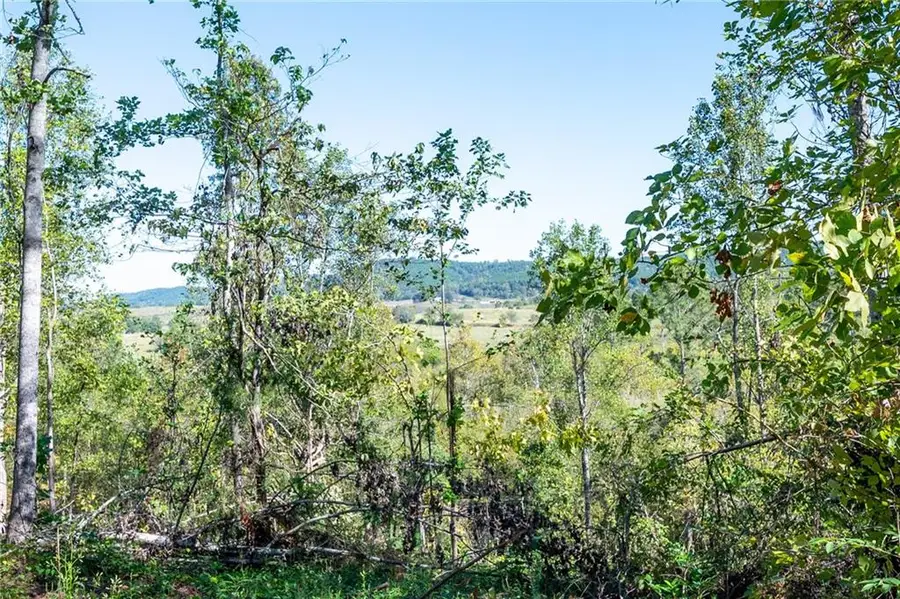 3793 Hwy 140 Ne, Rydal, GA 30171 - Image #2