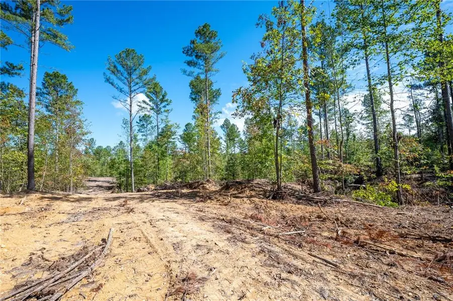 3805 Hwy 140 Ne, Rydal, GA 30171 - Image #2