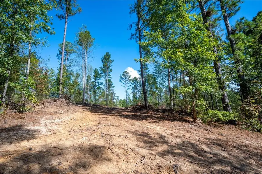 3805 Hwy 140 Ne, Rydal, GA 30171 - Image #3