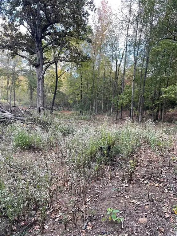 853 Mount Olivet Road, Dallas, GA 30132 - Image #1