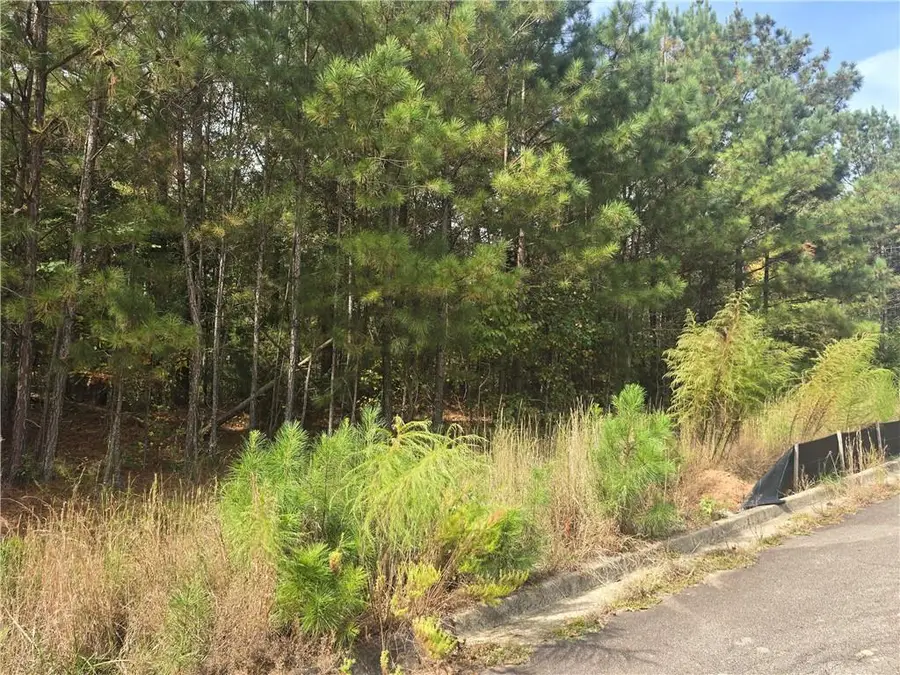 188 Belford Way, Jackson, GA 30233 - Image #2