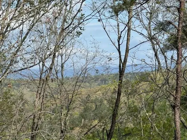 TRACT1 Panorama, Dahlonega, GA 30533 - Image #1