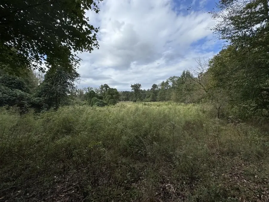 410 Alcovy Way, Covington, GA 30014 - Image #2