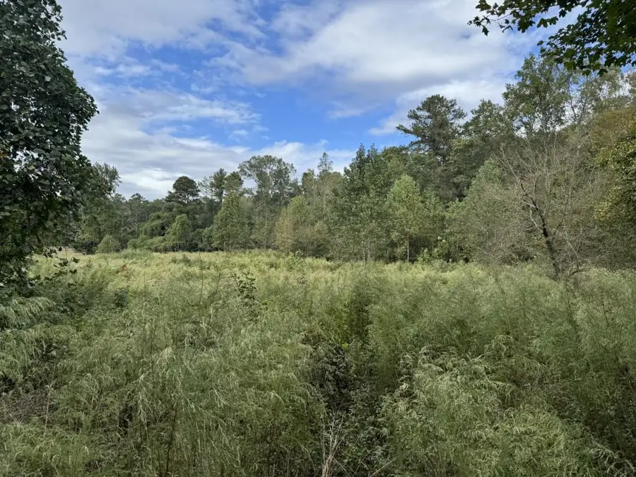 410 Alcovy Way, Covington, GA 30014 - Image #3