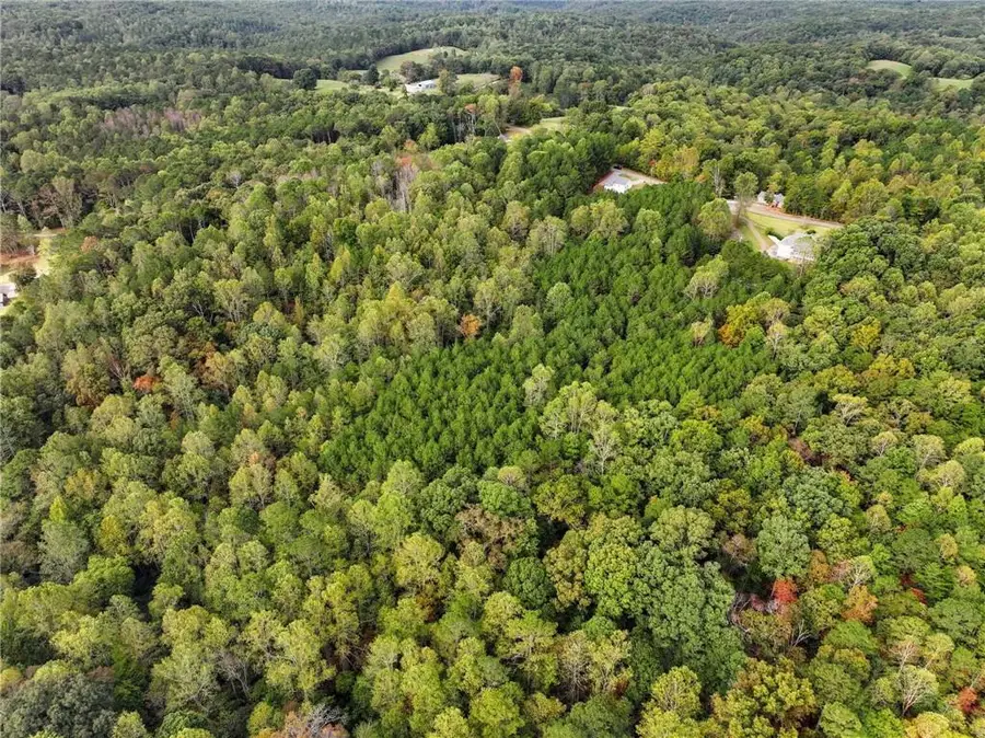 0 Old Pleasant Valley Rd, Talking Rock, GA 30175 - Image #2