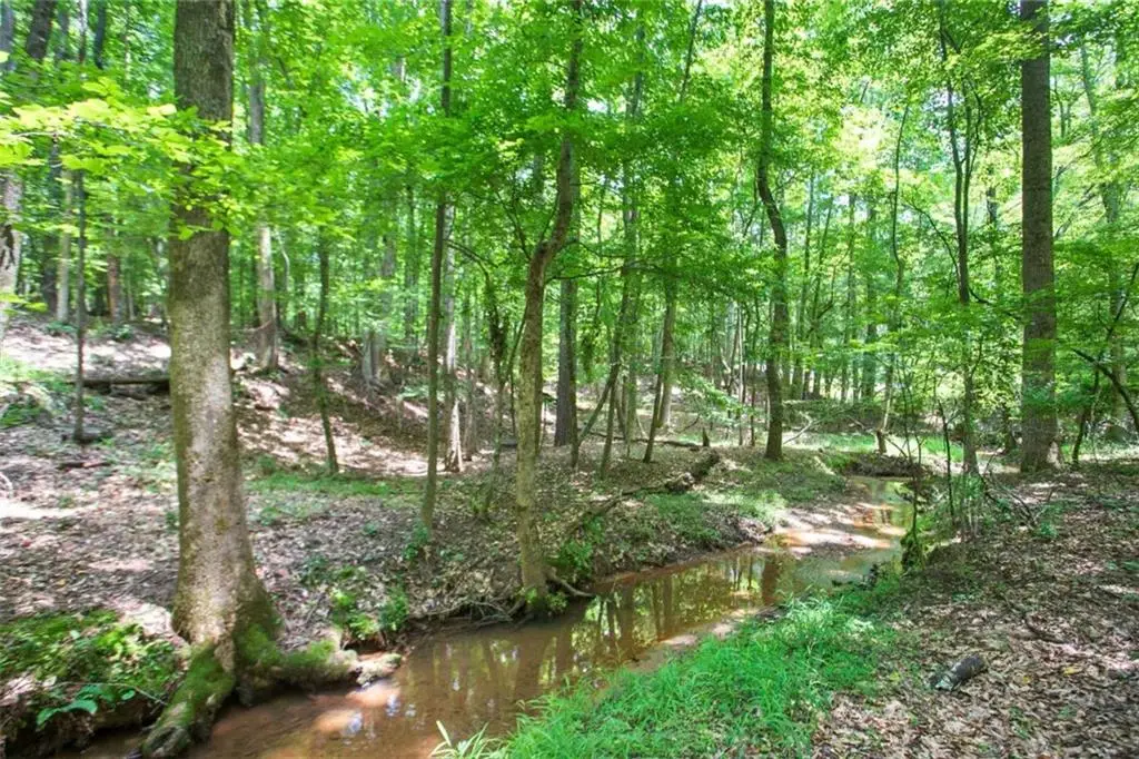 LOT20A Tanglewood Road, Newnan, GA 30263 - Image #1