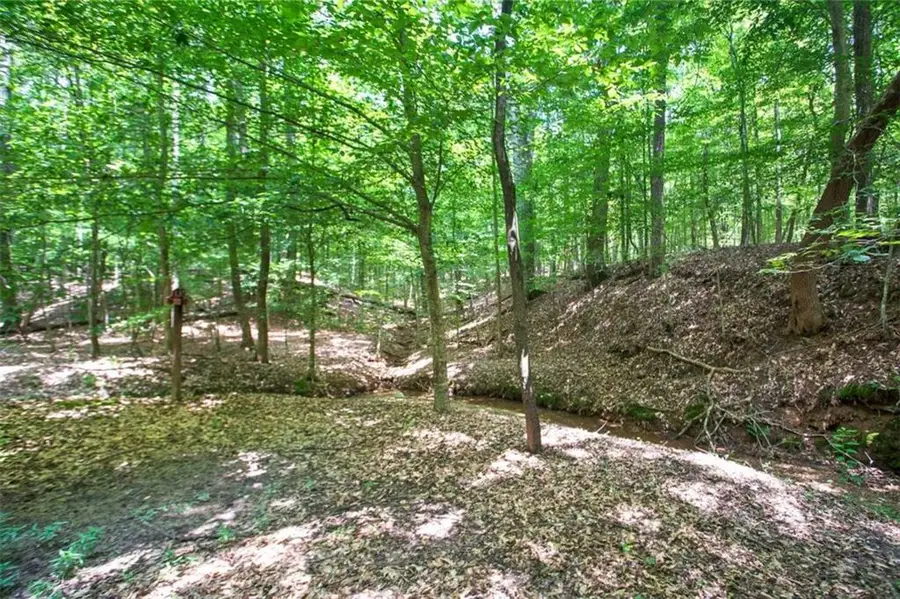 LOT20A Tanglewood Road, Newnan, GA 30263 - Image #2