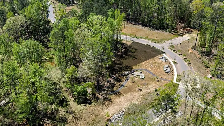 11718 Serenbe Lane, Chattahoochee Hills, GA 30268 - #2