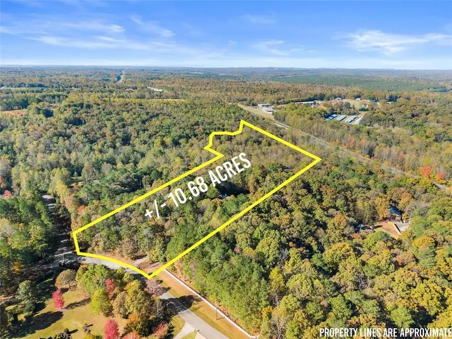 7269 Sloan Stephens Road, Alto, GA 30510 - Image #2