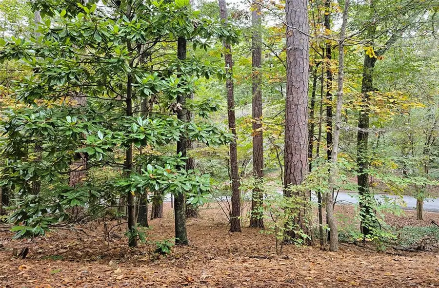 100 River Ridge Lane, Roswell, GA 30075 - Image #2