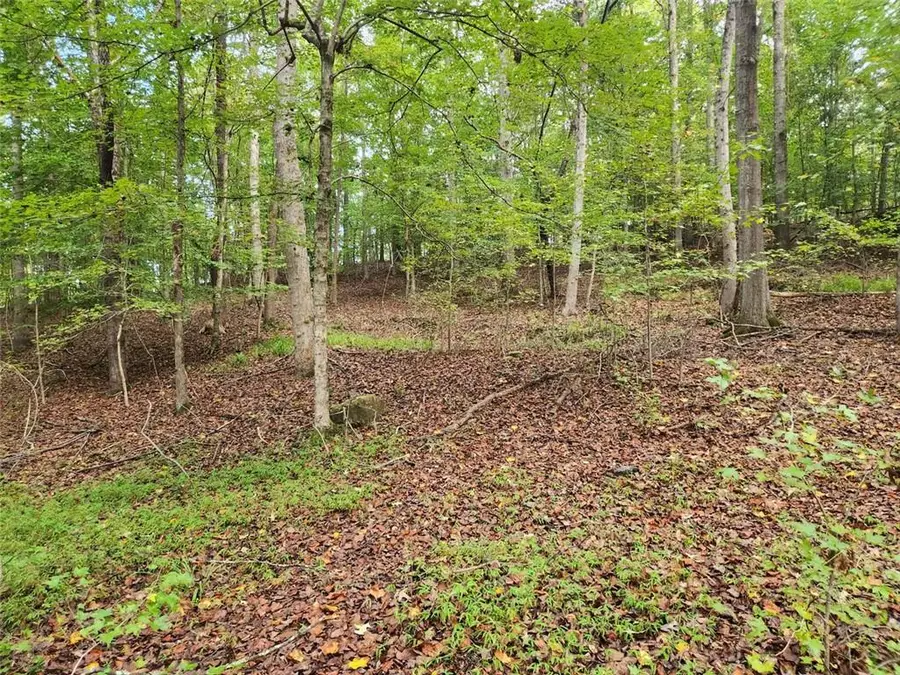 0 Cochran Road, South Fulton, GA 30331 - Image #3