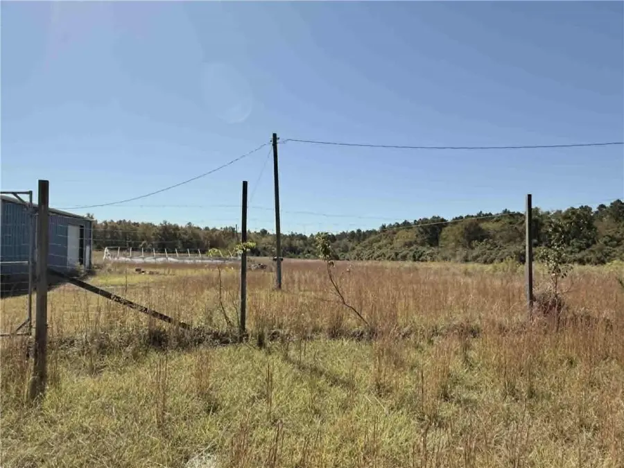 1339 Jones Chapel Road, Sparta, GA 31087 - Image #3