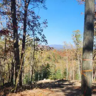 977 Raccoon Ridge Ne, Ranger, GA 30734 - Image #1