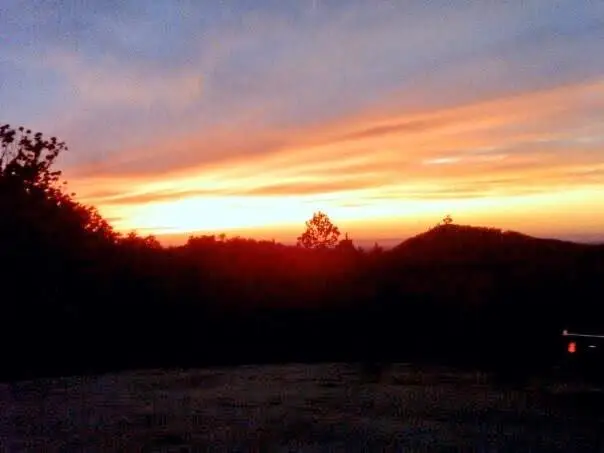 977 Raccoon Ridge Ne, Ranger, GA 30734 - Image #2